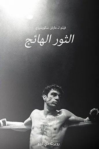 الثور الهائج