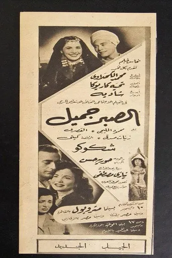 بوستر الصبر جميل