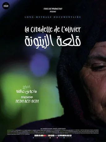قلعة الزيتونة