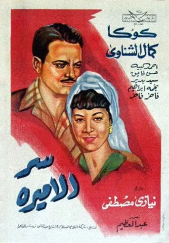 بوستر سر الأميرة