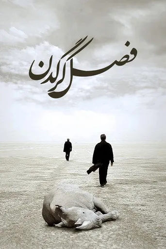 بوستر موسم وحيد القرن