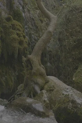 Au Fil De l'Eau