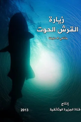 زيارة القرش الحوت