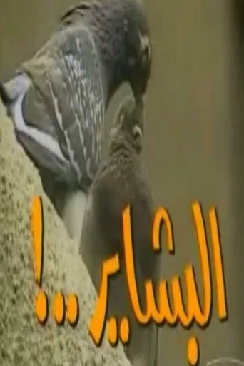 بوستر البشاير
