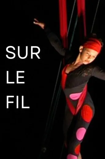 بوستر Sur le fil