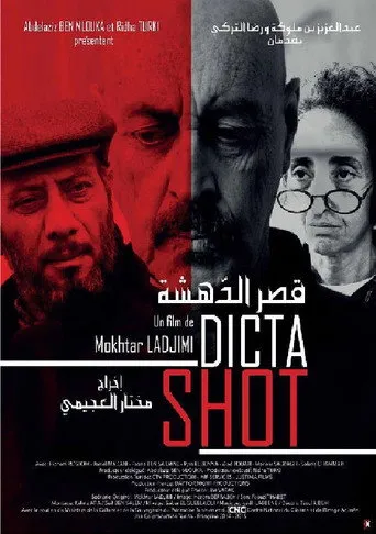 بوستر قصر الدهشة