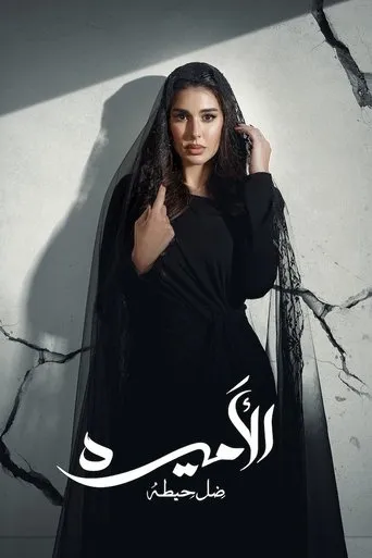 بوستر الأميرة: ظل حيطة