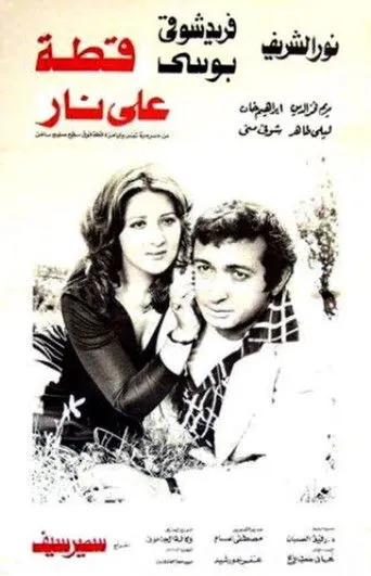 بوستر قطة على نار