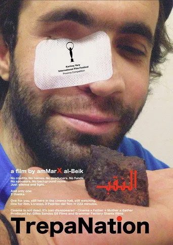 النقب