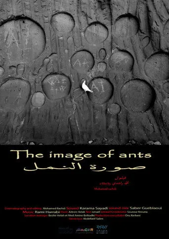 صورة النمل