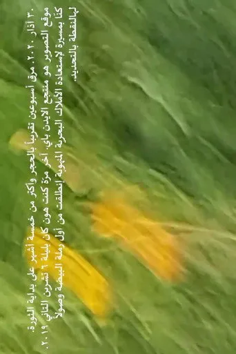 كنت ممنونة إنو الهوا مزّق ميكروفون الكاميرا
