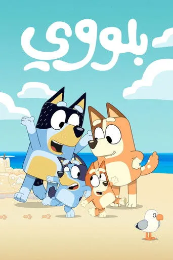 بلووي