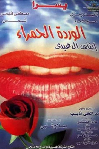بوستر الوردة الحمراء