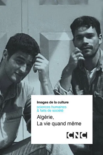الجزائر، الحياة تستمر