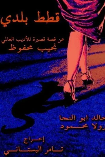 بوستر قطط بلدي