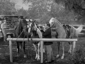 مسلسل Mister Ed الموسم ٢ الحلقة ٨
