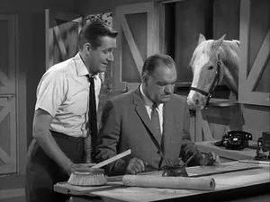مسلسل Mister Ed الموسم ٢ الحلقة ١٦