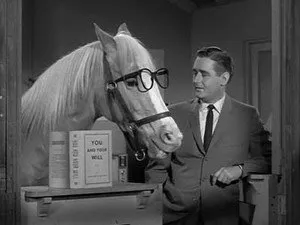 مسلسل Mister Ed الموسم ٢ الحلقة ١٤