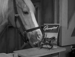 مسلسل Mister Ed الموسم ١ الحلقة ٢٦