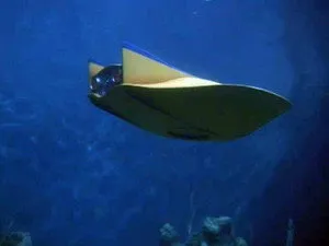 مسلسل Voyage to the Bottom of the Sea الموسم ٣ الحلقة ٧
