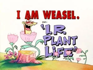 مسلسل I Am Weasel الموسم ١ الحلقة ٩