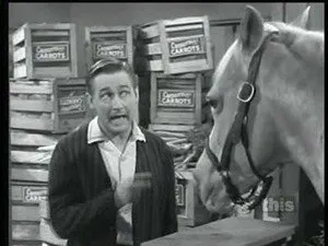 مسلسل Mister Ed الموسم ٥ الحلقة ١٠