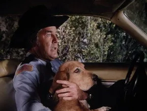 مسلسل The Dukes of Hazzard الموسم ٥ الحلقة ٢٠