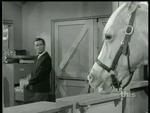 مسلسل Mister Ed الموسم ٥ الحلقة ٥