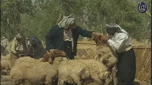 مسلسل ليالي الصالحية الحلقة ٣٠