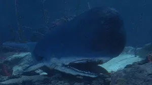 مسلسل Voyage to the Bottom of the Sea الموسم ٢ الحلقة ١