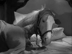 مسلسل Mister Ed الموسم ٢ الحلقة ١٣