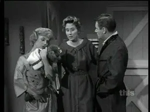 مسلسل Mister Ed الموسم ١ الحلقة ١٥