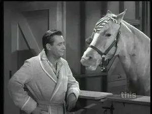 مسلسل Mister Ed الموسم ٥ الحلقة ٧