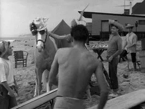 مسلسل Mister Ed الموسم ٢ الحلقة ٢٣