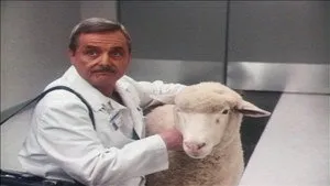 مسلسل St. Elsewhere الموسم ٦ الحلقة ١٠