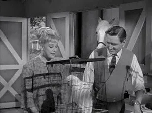 مسلسل Mister Ed الموسم ٣ الحلقة ٢٤