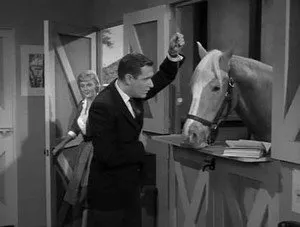 مسلسل Mister Ed الموسم ١ الحلقة ١٦