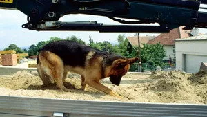 مسلسل Kommissar Rex الموسم ٣ الحلقة ١١