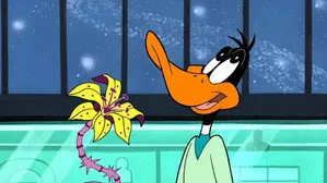 مسلسل Duck Dodgers الموسم ١ الحلقة ٧