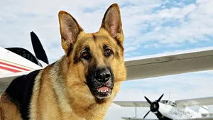 مسلسل Kommissar Rex الموسم ٧ الحلقة ٥