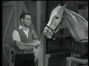 مسلسل Mister Ed الموسم ٢ الحلقة ٢٤