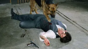 مسلسل Kommissar Rex الموسم ٤ الحلقة ٤
