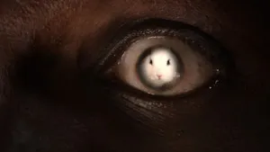 مسلسل الجميع يكره كريس الموسم ٢ الحلقة ١٧
