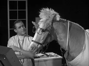 مسلسل Mister Ed الموسم ٣ الحلقة ٢٥