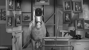 مسلسل Mister Ed الموسم ٤ الحلقة ١